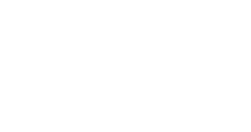 Badri High School Logo